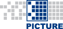 PICTURE GmbH