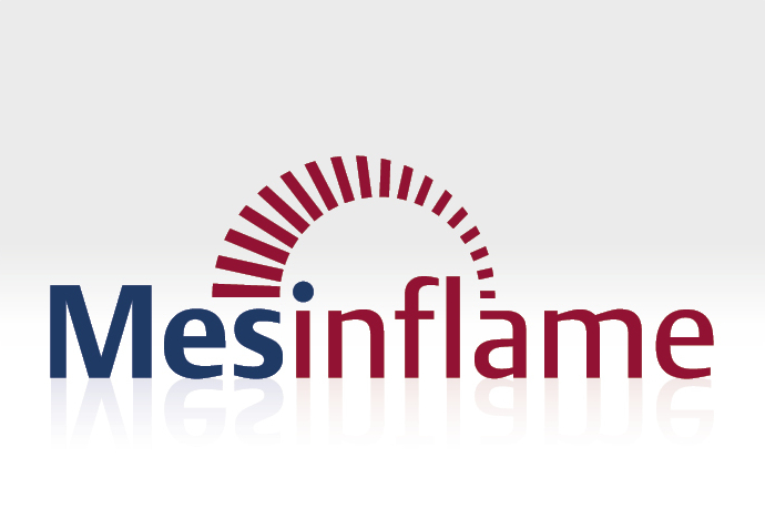 Logo für das IMM-Forschungsprojekt Mesinflame